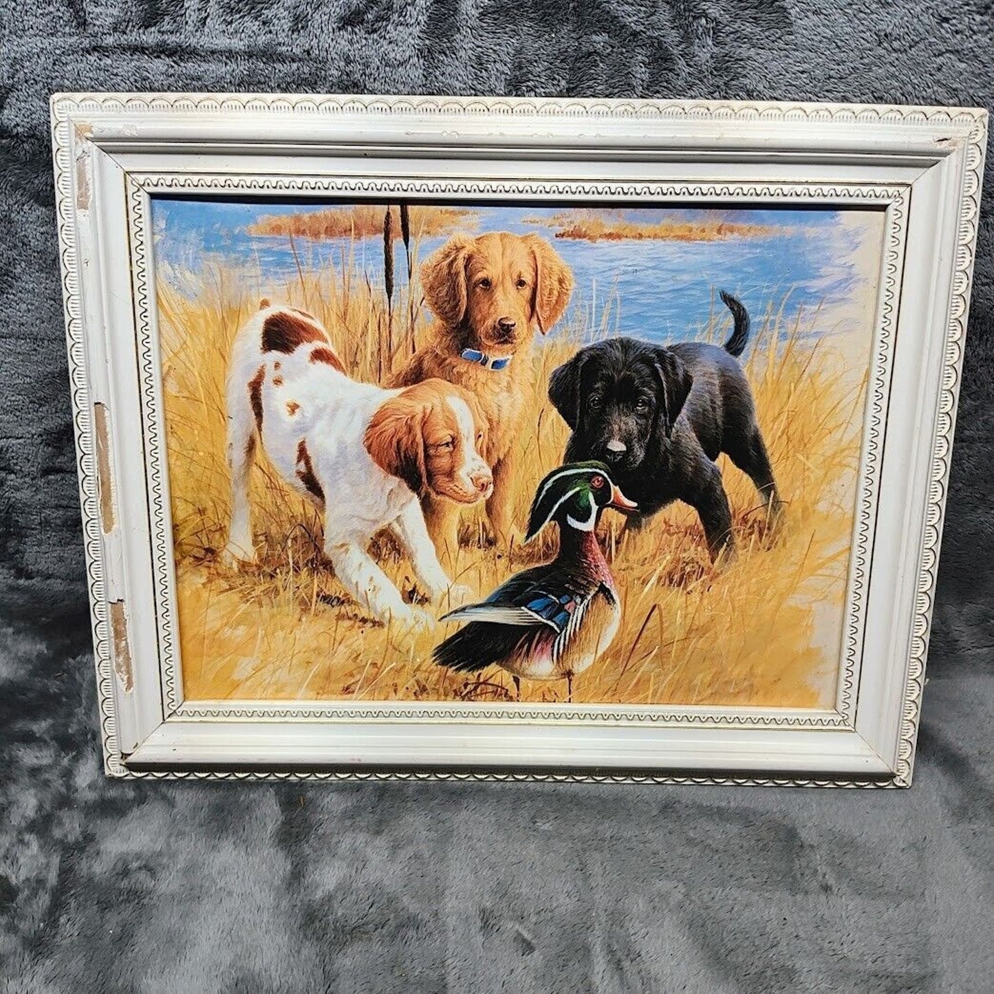 Gundog Puppies Print - Jim Killen - Framed print on board "Come play with us"