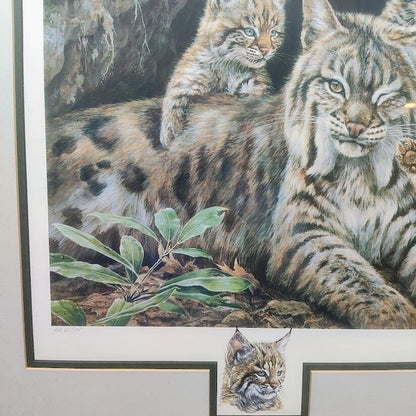 Vintage Bobcat Art Print Laura Finberg Mark Finberg Bobcat Ltd. Ed. 75 Framed Lg