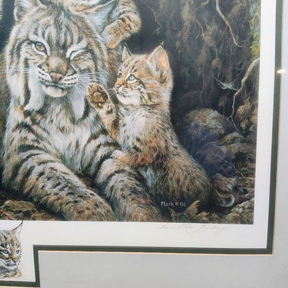 Vintage Bobcat Art Print Laura Finberg Mark Finberg Bobcat Ltd. Ed. 75 Framed Lg