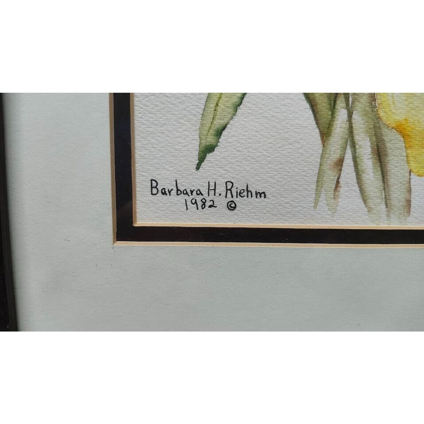 Lot of 3 - ORIGINAL Watercolors By BARBARA H. RIEHM Framed & Matted 1982 & 1985