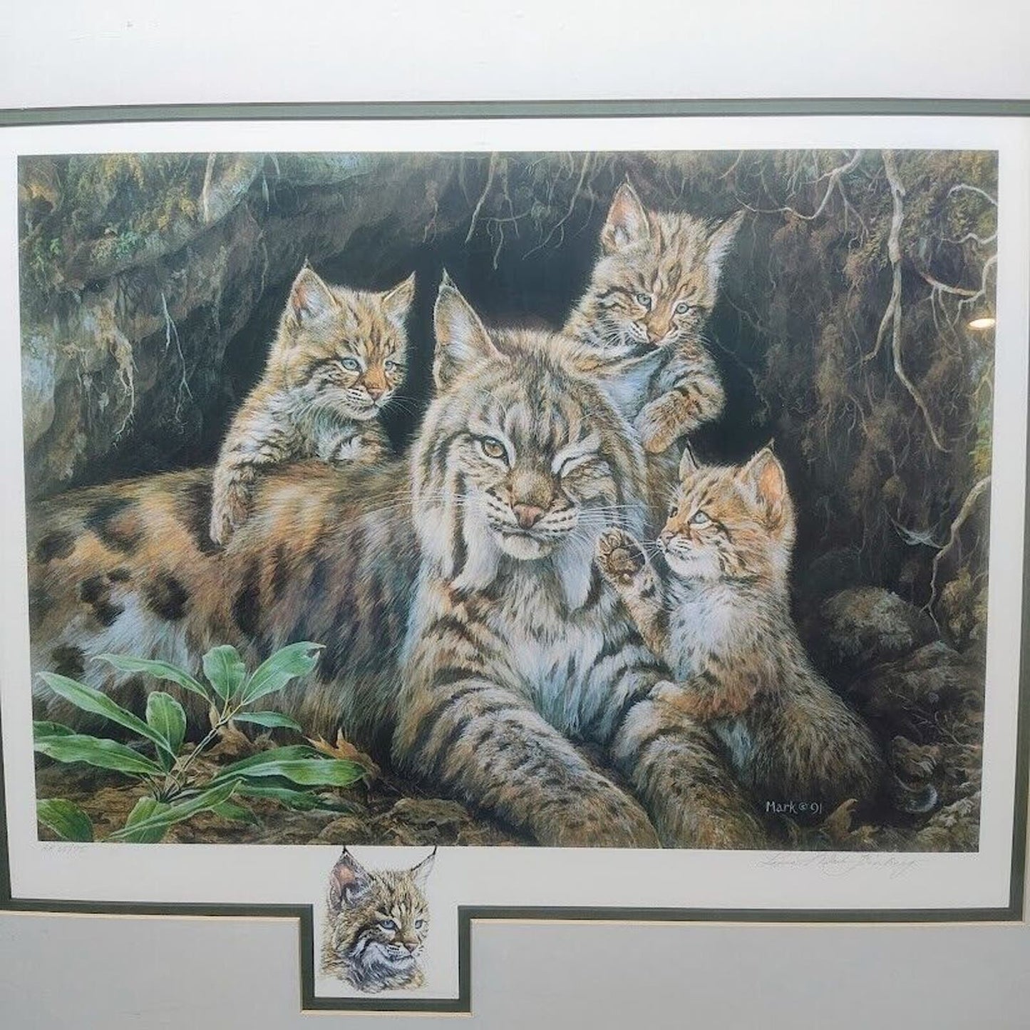 Vintage Bobcat Art Print Laura Finberg Mark Finberg Bobcat Ltd. Ed. 75 Framed Lg