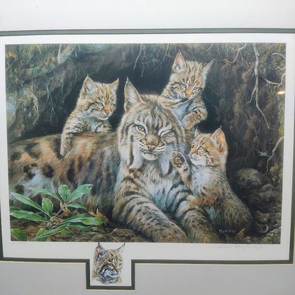 Vintage Bobcat Art Print Laura Finberg Mark Finberg Bobcat Ltd. Ed. 75 Framed Lg