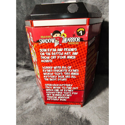 Ryan's World Shadow Warrior Mystery Martial Arts Box